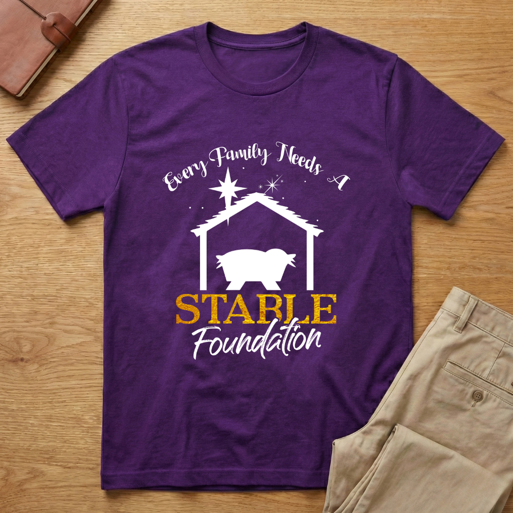 Every Family Stable Foundation Christmas T-shirt